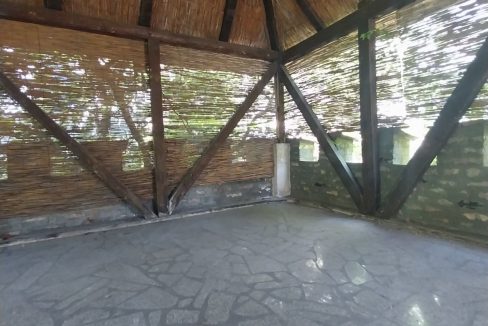 IMG_2440