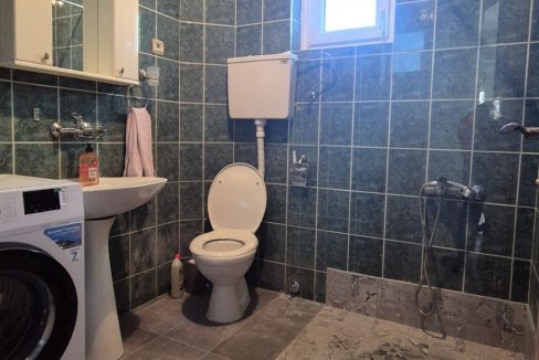 image5 (2)