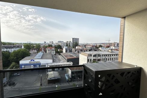 IMG_4547