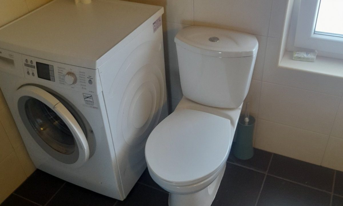 image12