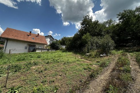 IMG_7055