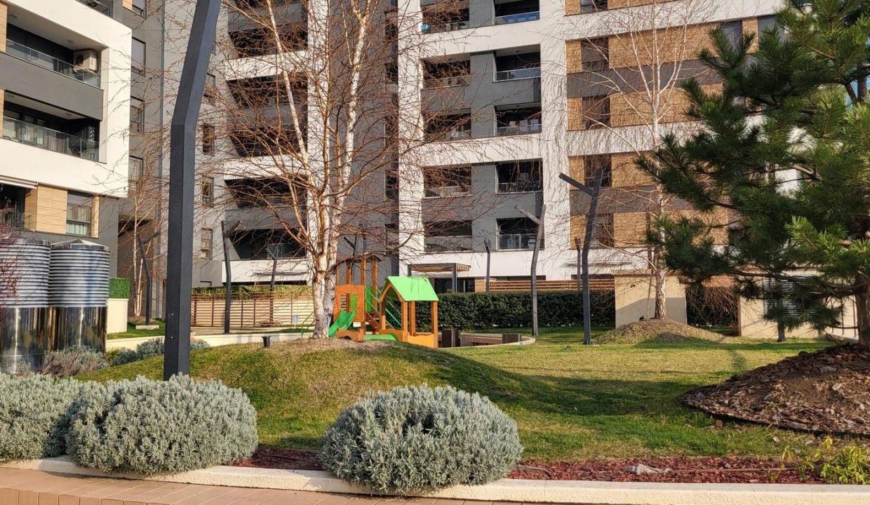image12