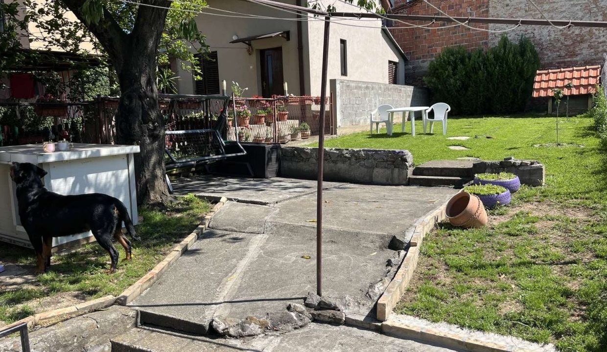 image12
