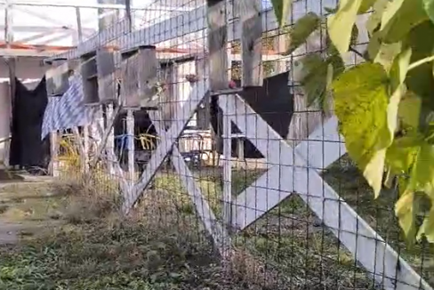 Screenshot 2025-10-30 142727