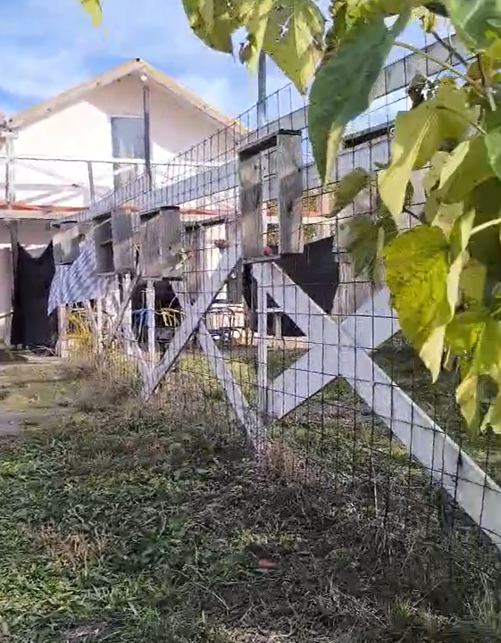 Screenshot 2025-10-30 142727