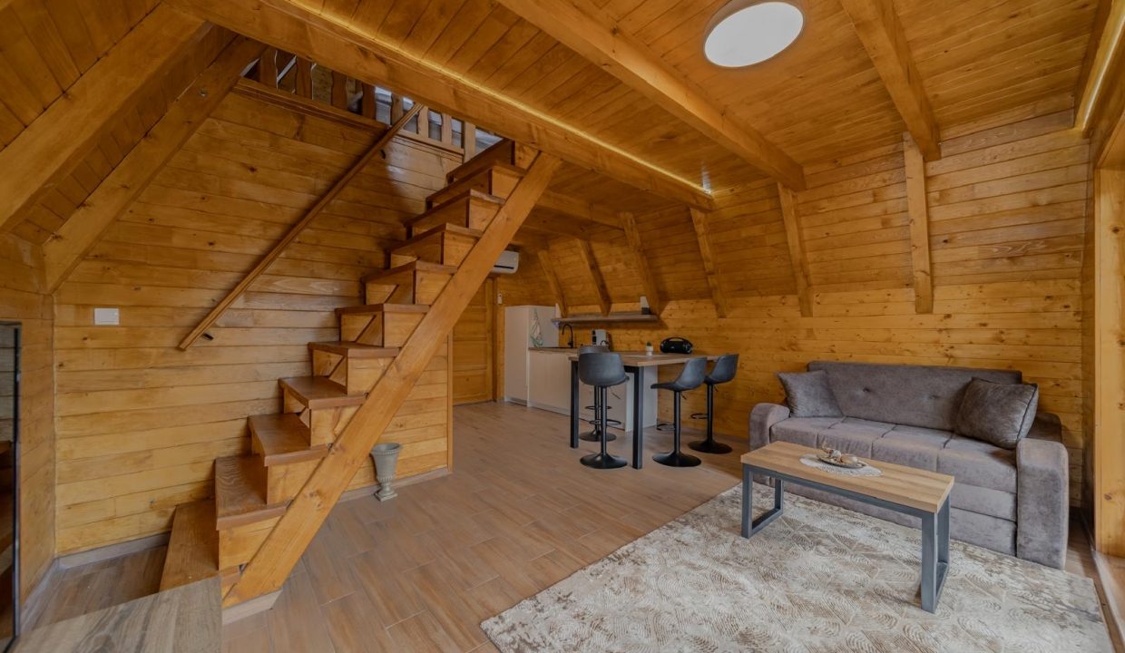 1a0cabcf-e61f-4594-ac1e-f4015880e265