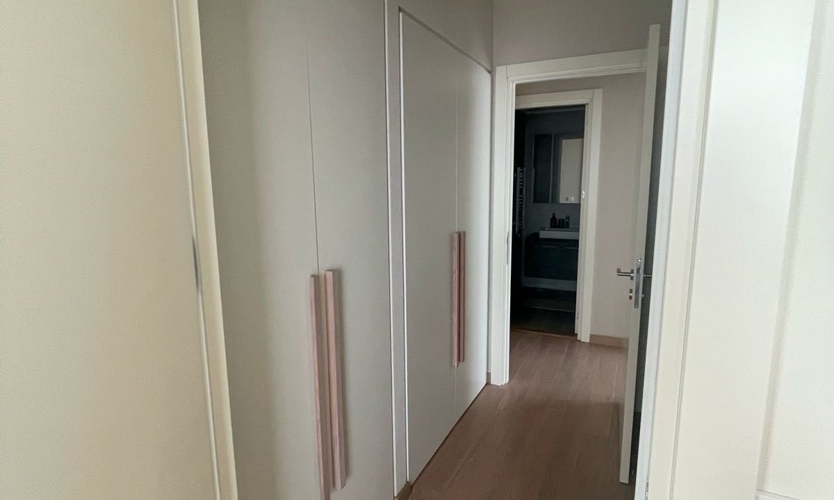 245488ca-d56c-48d8-9c19-097898570e3d