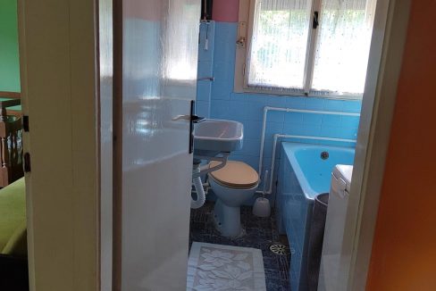 viber_image_2025-11-05_10-59-01-011