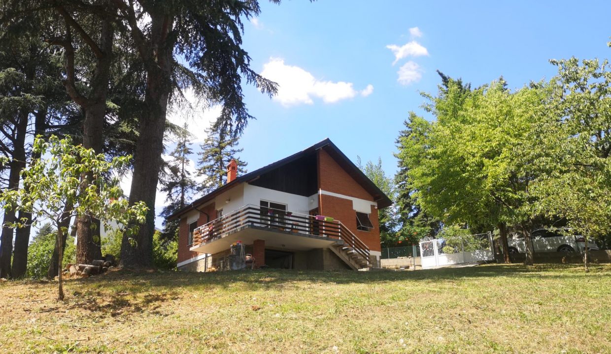 viber_image_2025-11-05_10-59-04-505