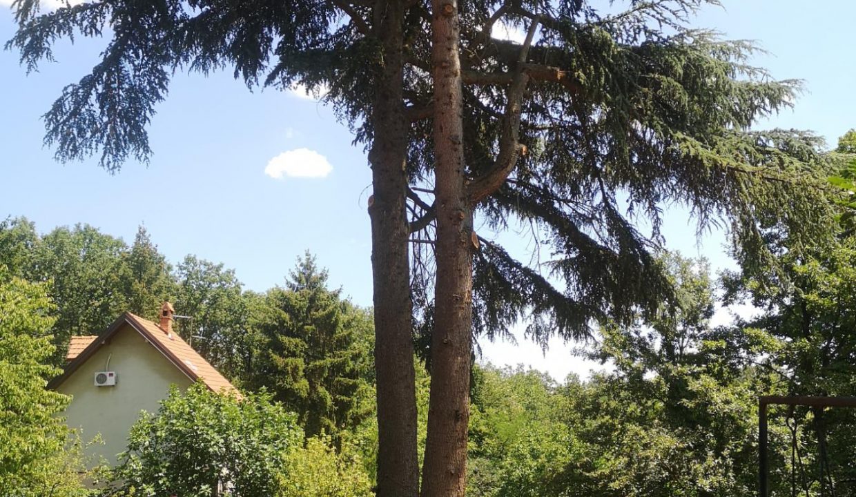 viber_image_2025-11-05_10-59-05-114