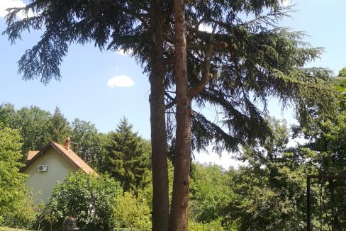 viber_image_2025-11-05_10-59-05-114