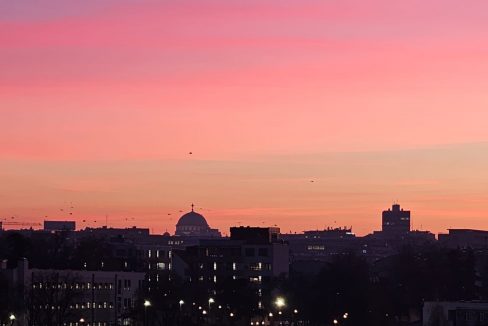 5dc32ff8-3d2a-45a9-9cb7-8b171ab2dd5f