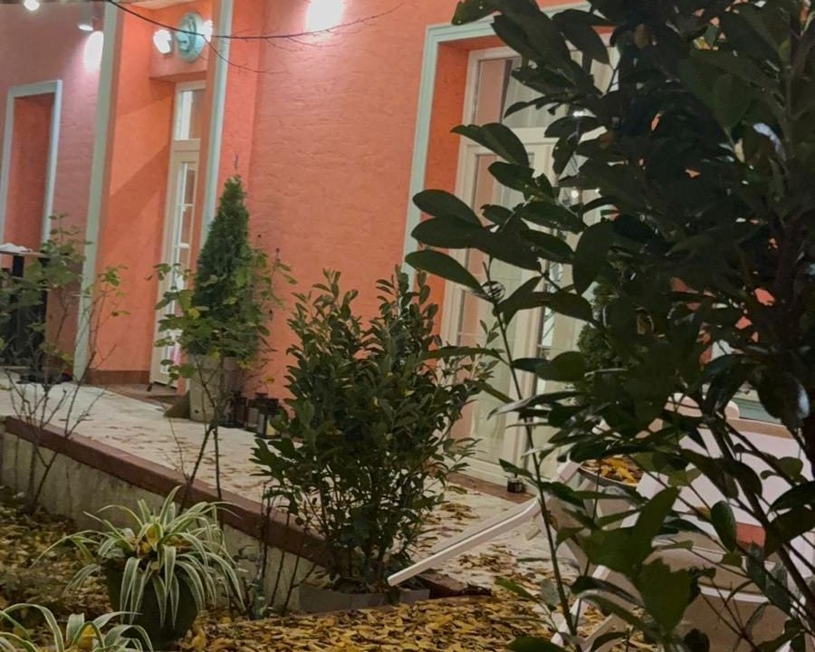 378081ed-67b4-4980-96af-8b3ef13b4cf8