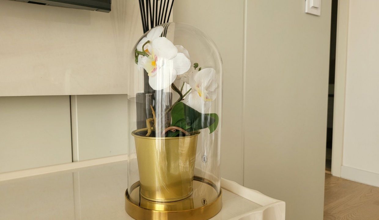 af8995dd-6ed8-4873-bf5e-e098ba6411f4