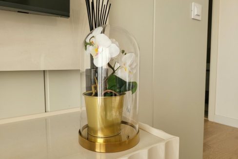 af8995dd-6ed8-4873-bf5e-e098ba6411f4