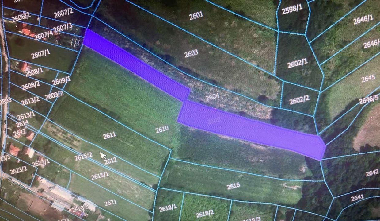 e291b4fb-67c0-4bfb-a994-e8ffaa246a56