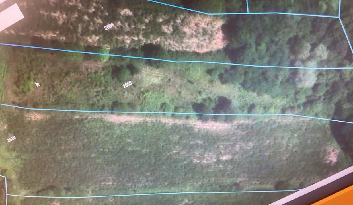 f5853f9e-359f-4f5a-8902-43ffd3ec4d65