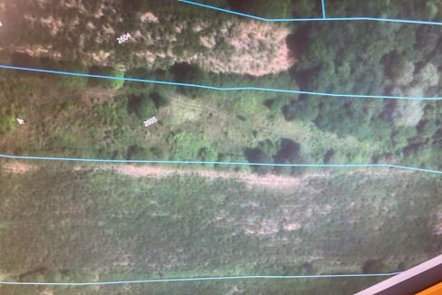 f5853f9e-359f-4f5a-8902-43ffd3ec4d65