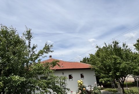 image46