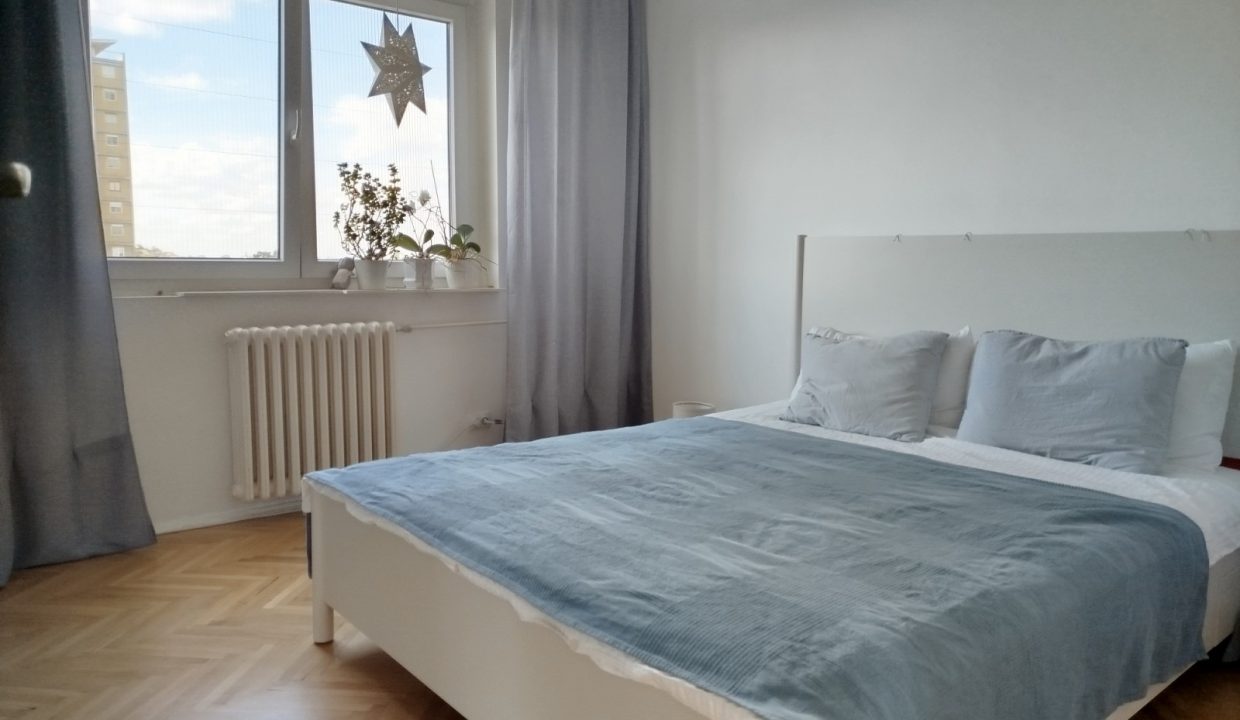 image4 (1)