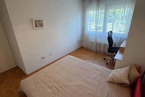 image5 (1)