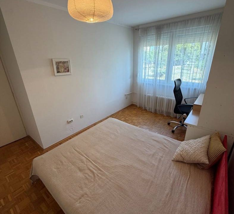 image5 (1)