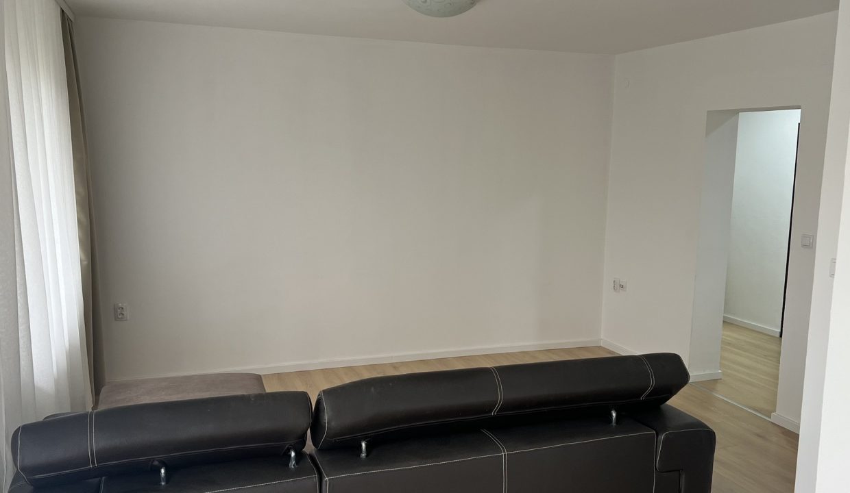 image5 (3)
