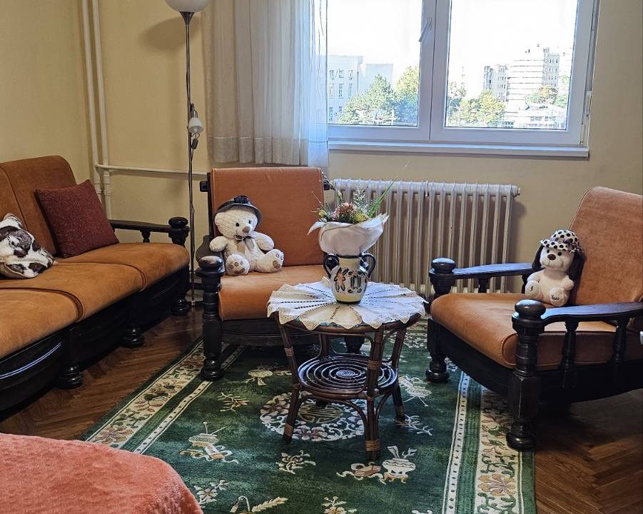 image7 (1)
