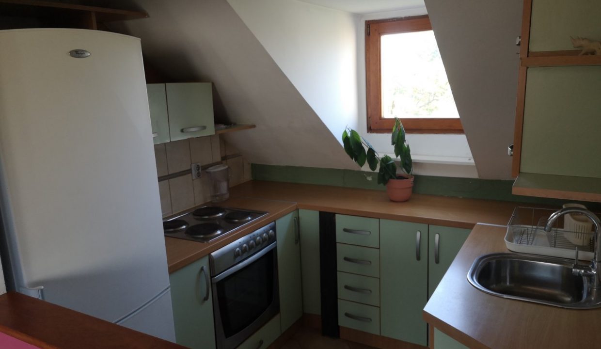 image7 (1)