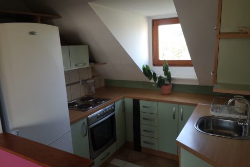 image7 (1)